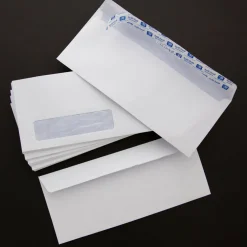 BAZIC #10 Security White Envelopes, Self-Seal, 500 Count