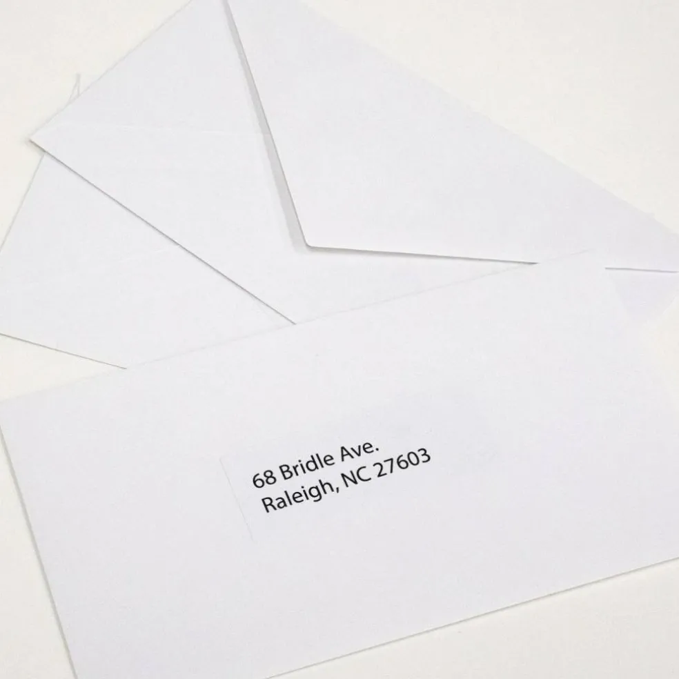 BAZIC #6 3/4 White Envelopes, Gummed, 100 Count, Plain-Face Paper