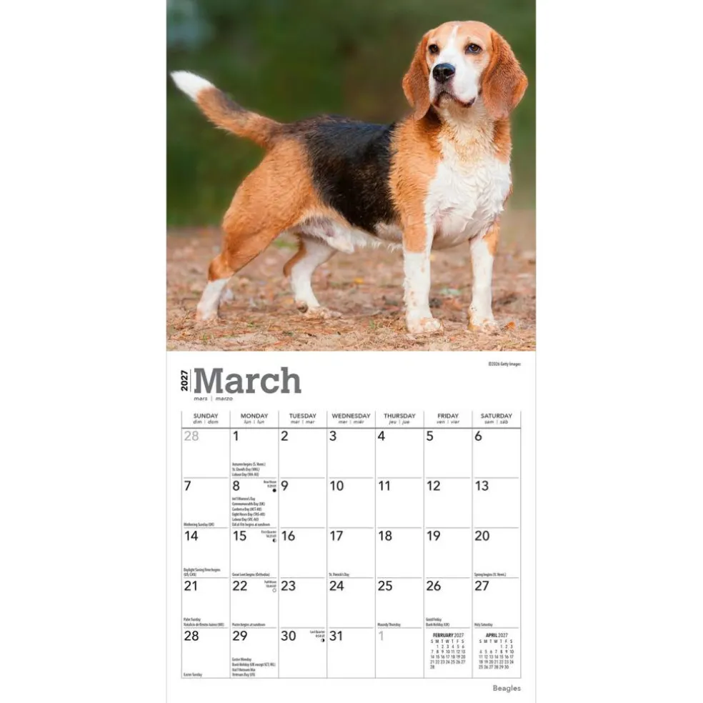 Beagles | 2027 7 x 14 Inch (Hanging) Monthly Mini Wall Calendar