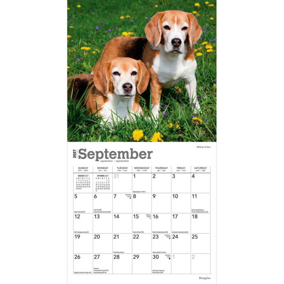 Beagles | 2027 7 x 14 Inch (Hanging) Monthly Mini Wall Calendar