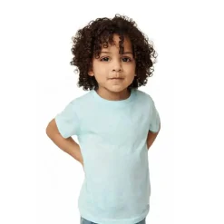 BELLA + CANVAS Tri blend Airlume Cotton Crewneck Free Shipping