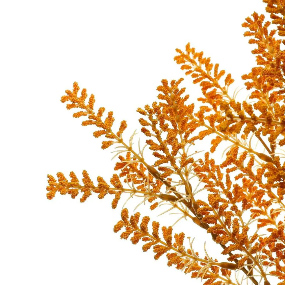 19" Berry Bush by Ashland®