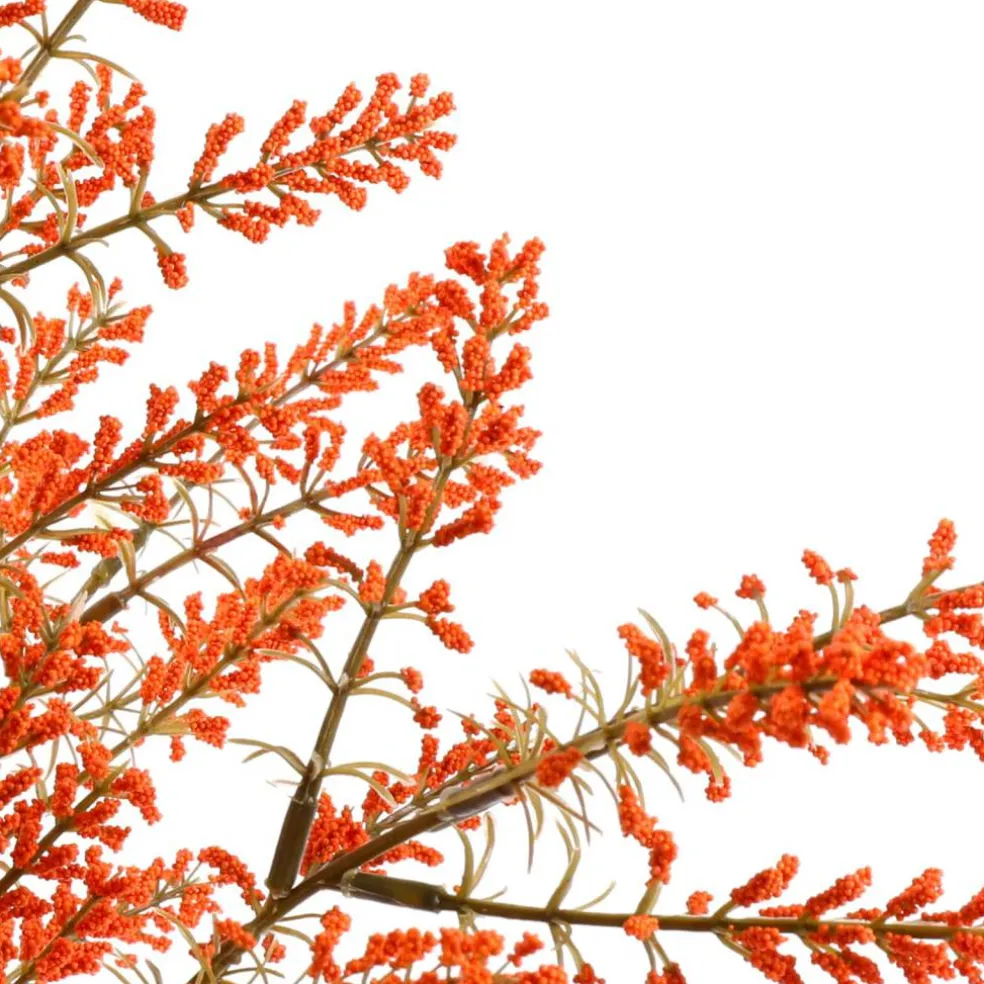 19" Berry Bush by Ashland®