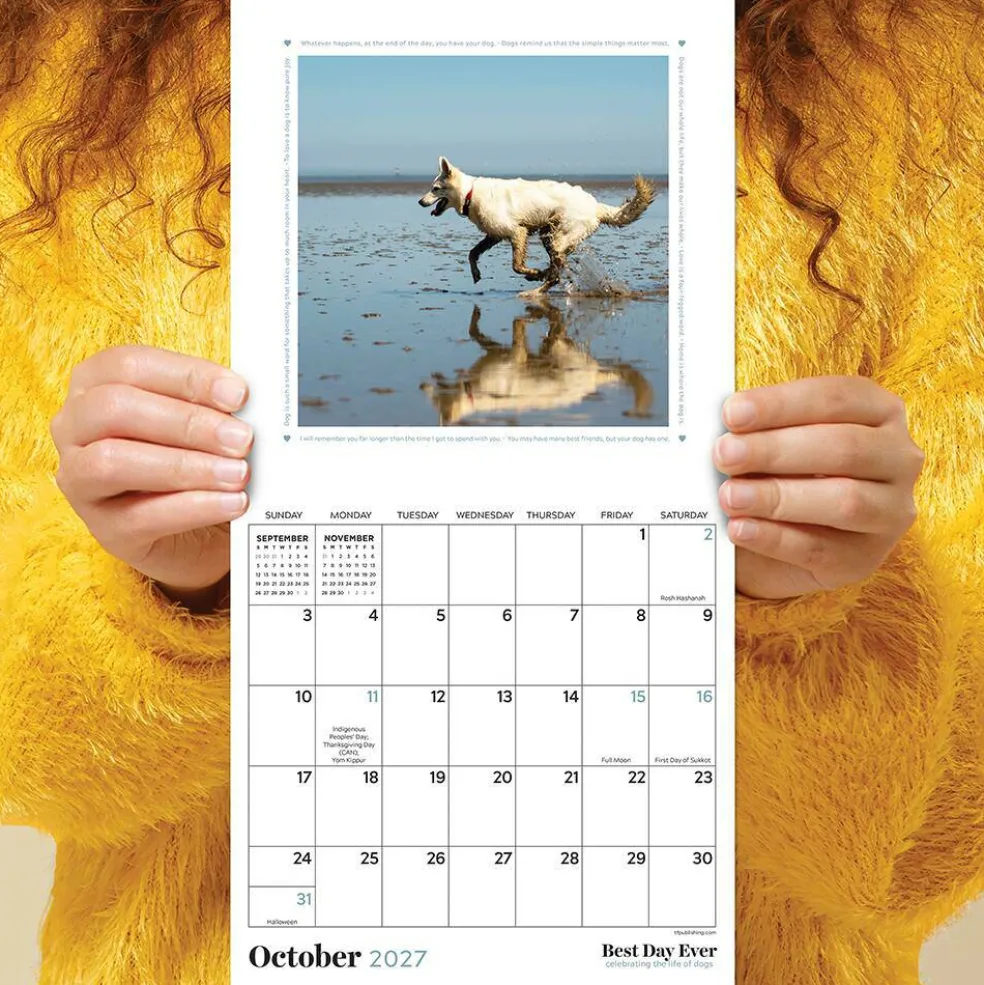 2027 Best Day Ever: Dogs Mini Calendar