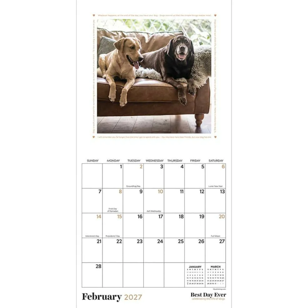 2027 Best Day Ever: Dogs Mini Calendar