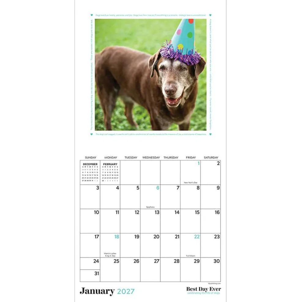 2027 Best Day Ever: Dogs Mini Calendar