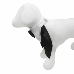 Best Furry Friends Classic Tuxedo Collar