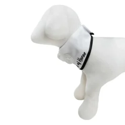 Best Furry Friends Dog of Honor Floral Collar