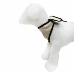 Best Furry Friends Ring Bearer Bandana