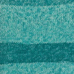 Big Twist® Value Ombre Yarn