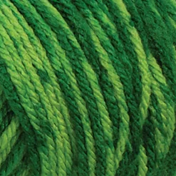 Big Twist® Value Ombre Yarn