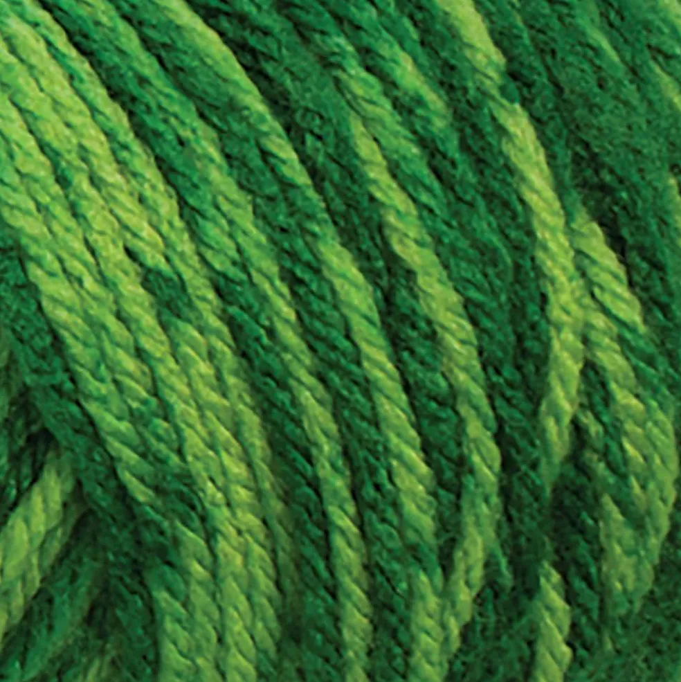 Big Twist® Value Ombre Yarn