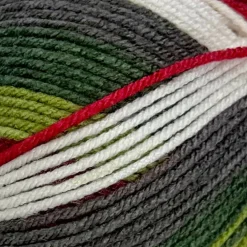 Big Twist® Winter Worsted Stripes Yarn