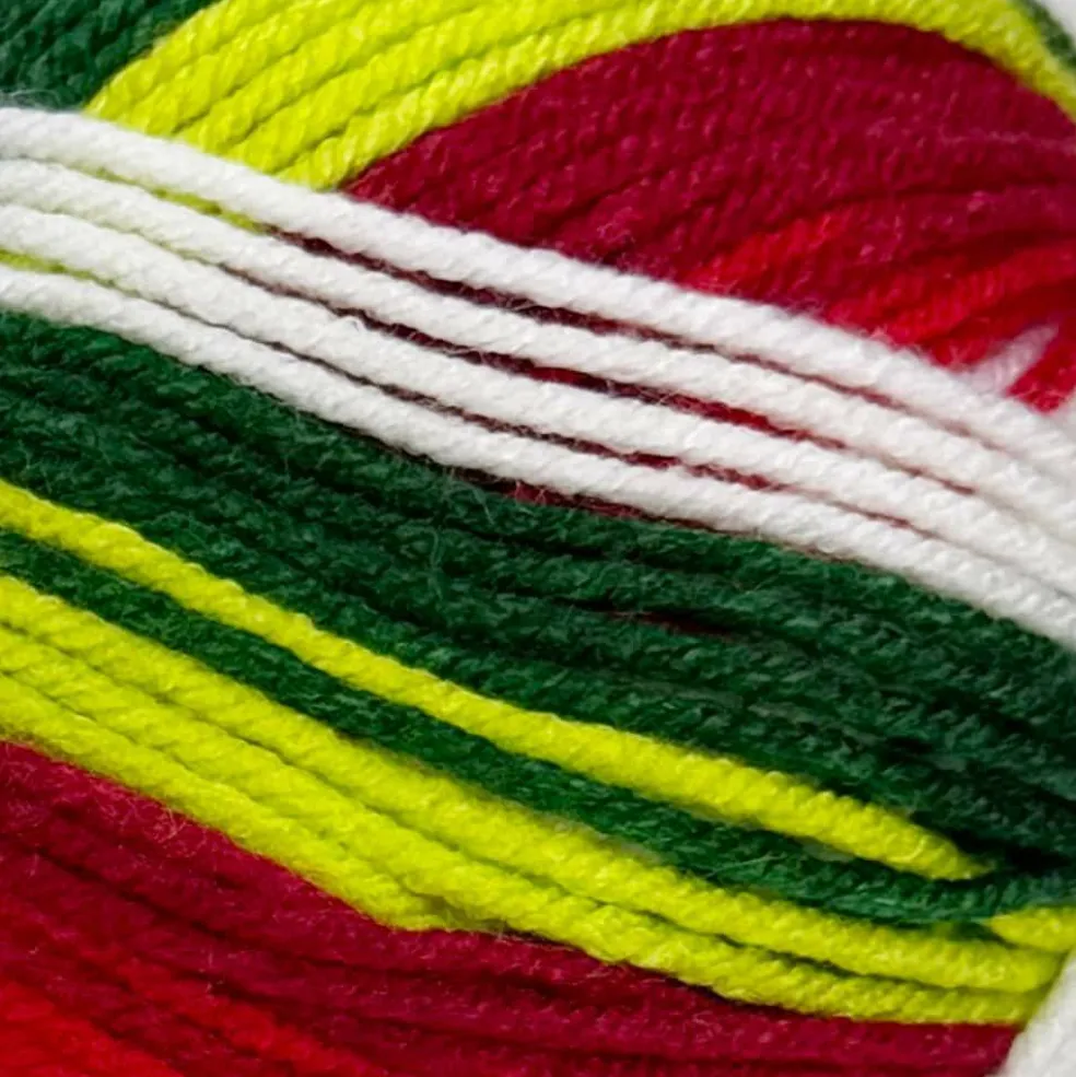 Big Twist® Winter Worsted Stripes Yarn