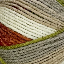 Big Twist® Winter Worsted Stripes Yarn