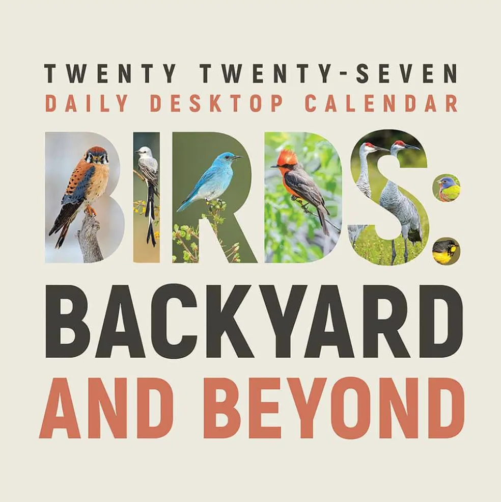 2027 Birds: Backyard & Beyond Daily Desktop Calendar