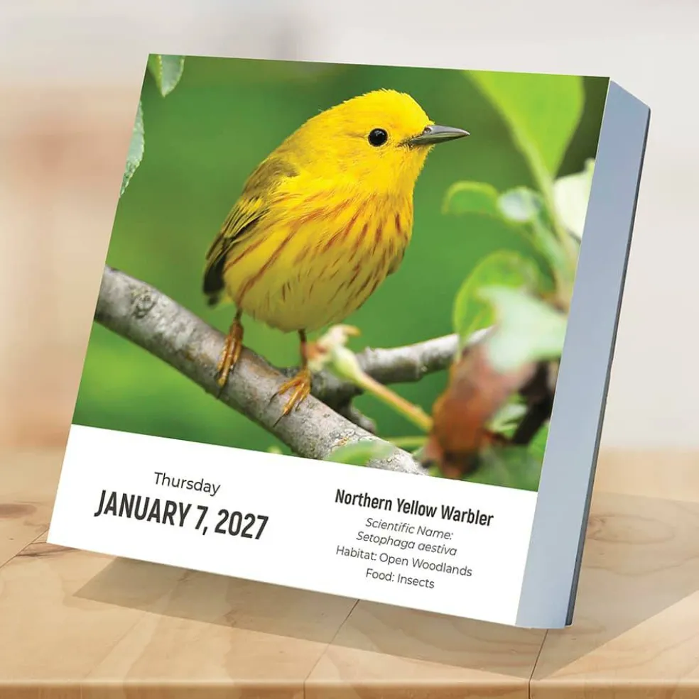 2027 Birds: Backyard & Beyond Daily Desktop Calendar