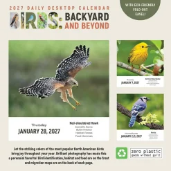 2027 Birds: Backyard & Beyond Daily Desktop Calendar