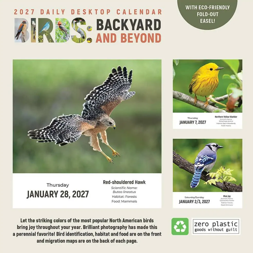 2027 Birds: Backyard & Beyond Daily Desktop Calendar