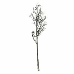 Black Bare Branch Stem by Ashland®