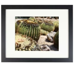 Black Belmont Frame with Mat by Studio Décor®