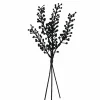 12" Black Berry Seed Mini Bundle by Ashland®