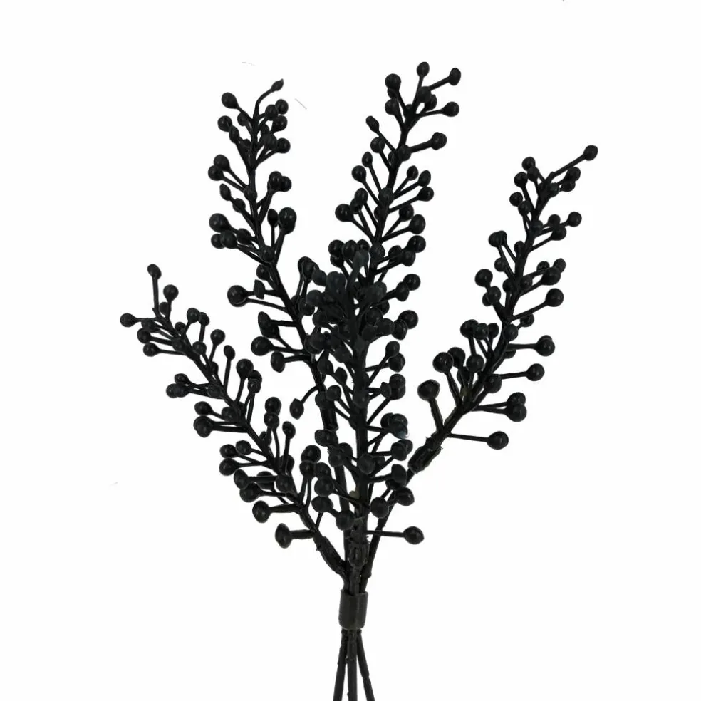 12" Black Berry Seed Mini Bundle by Ashland®