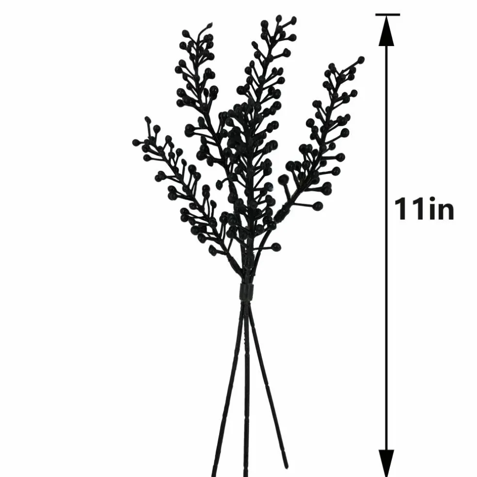 12" Black Berry Seed Mini Bundle by Ashland®