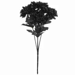 12" Black Dahlia Bush by Ashland®