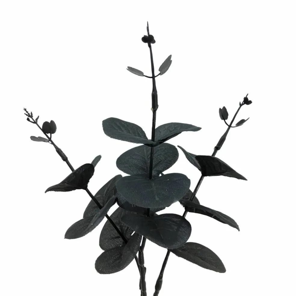 12" Black Eucalyptus Mini Bundle by Ashland®