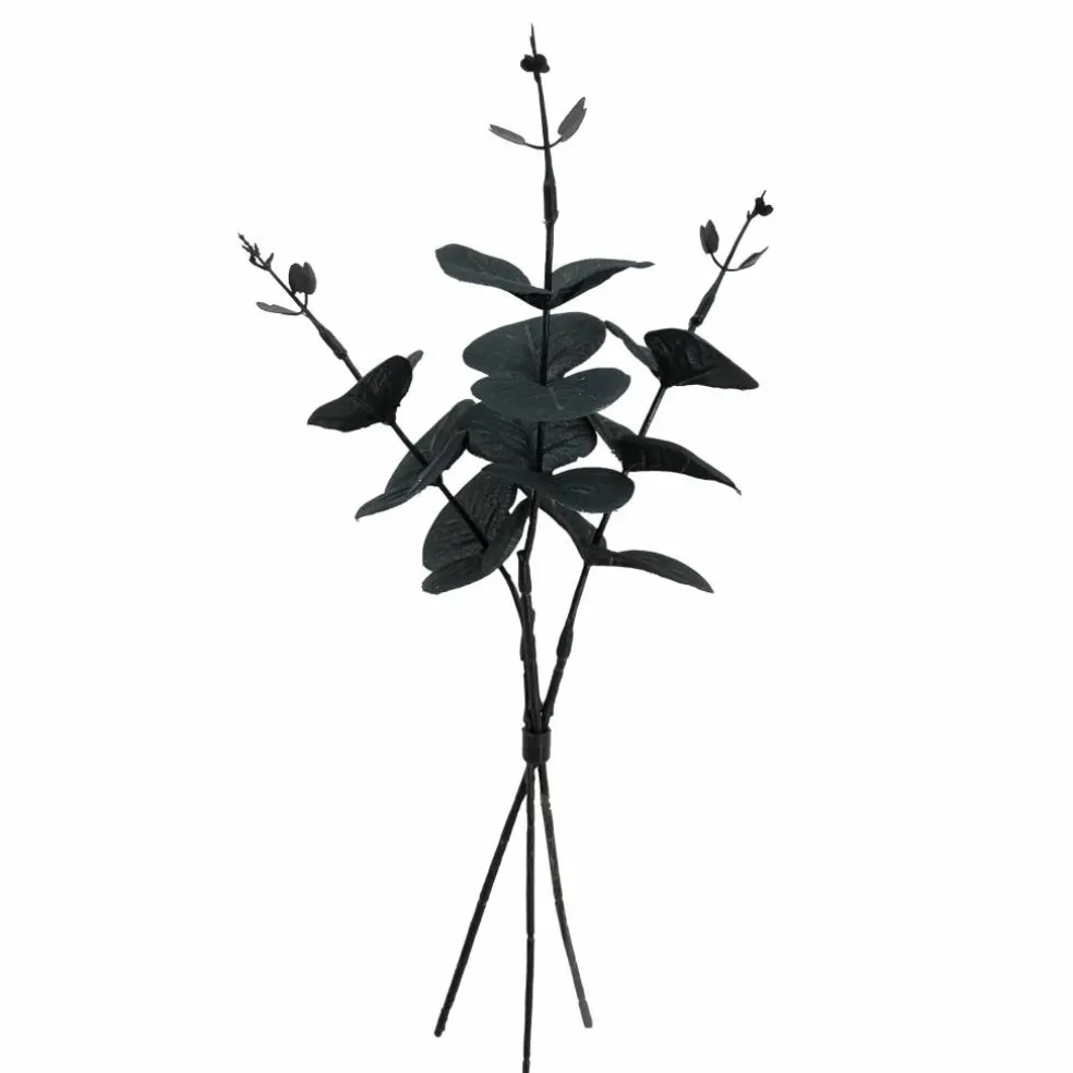 12" Black Eucalyptus Mini Bundle by Ashland®