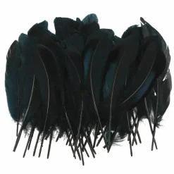 Black Feathers, 50ct. by Ashland®