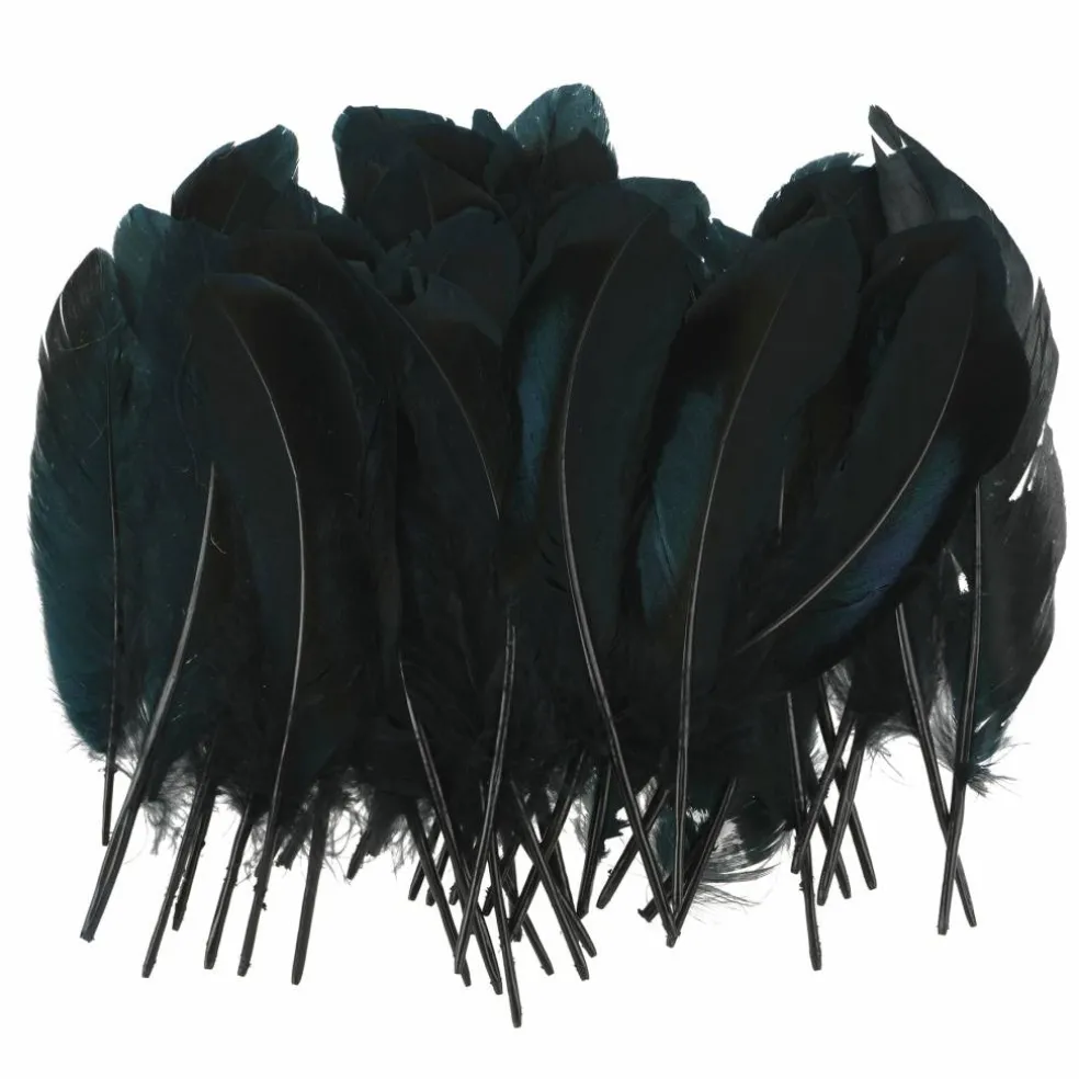 Black Feathers, 50ct. by Ashland®
