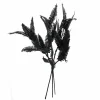 12" Black Fern Mini Bundle by Ashland®