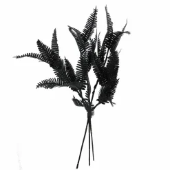 12" Black Fern Mini Bundle by Ashland®
