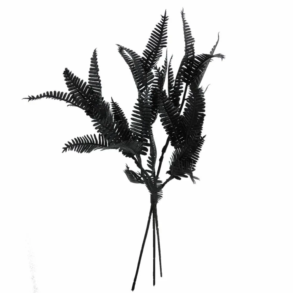 12" Black Fern Mini Bundle by Ashland®