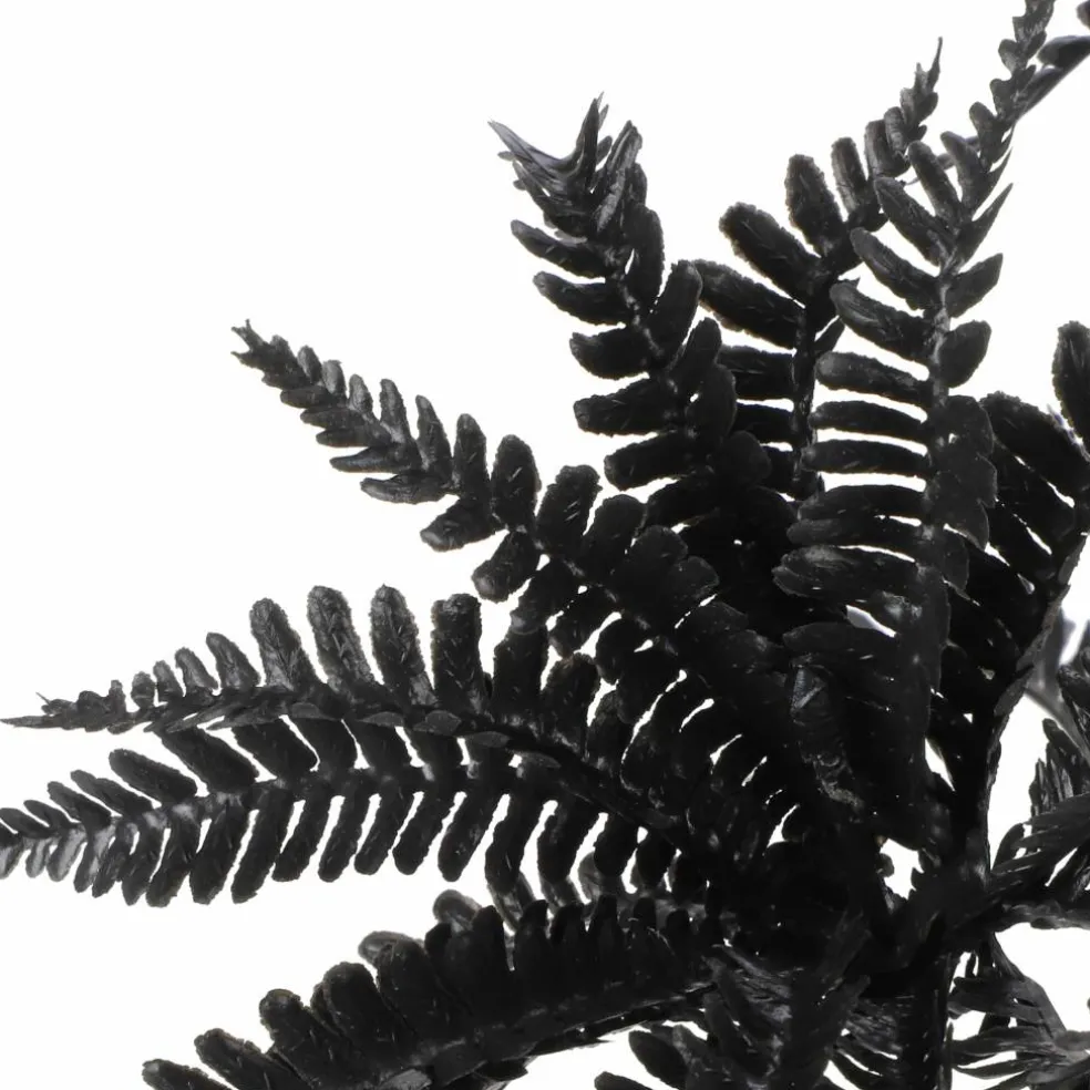 9" Black Fern Real Touch Pick by Ashland®