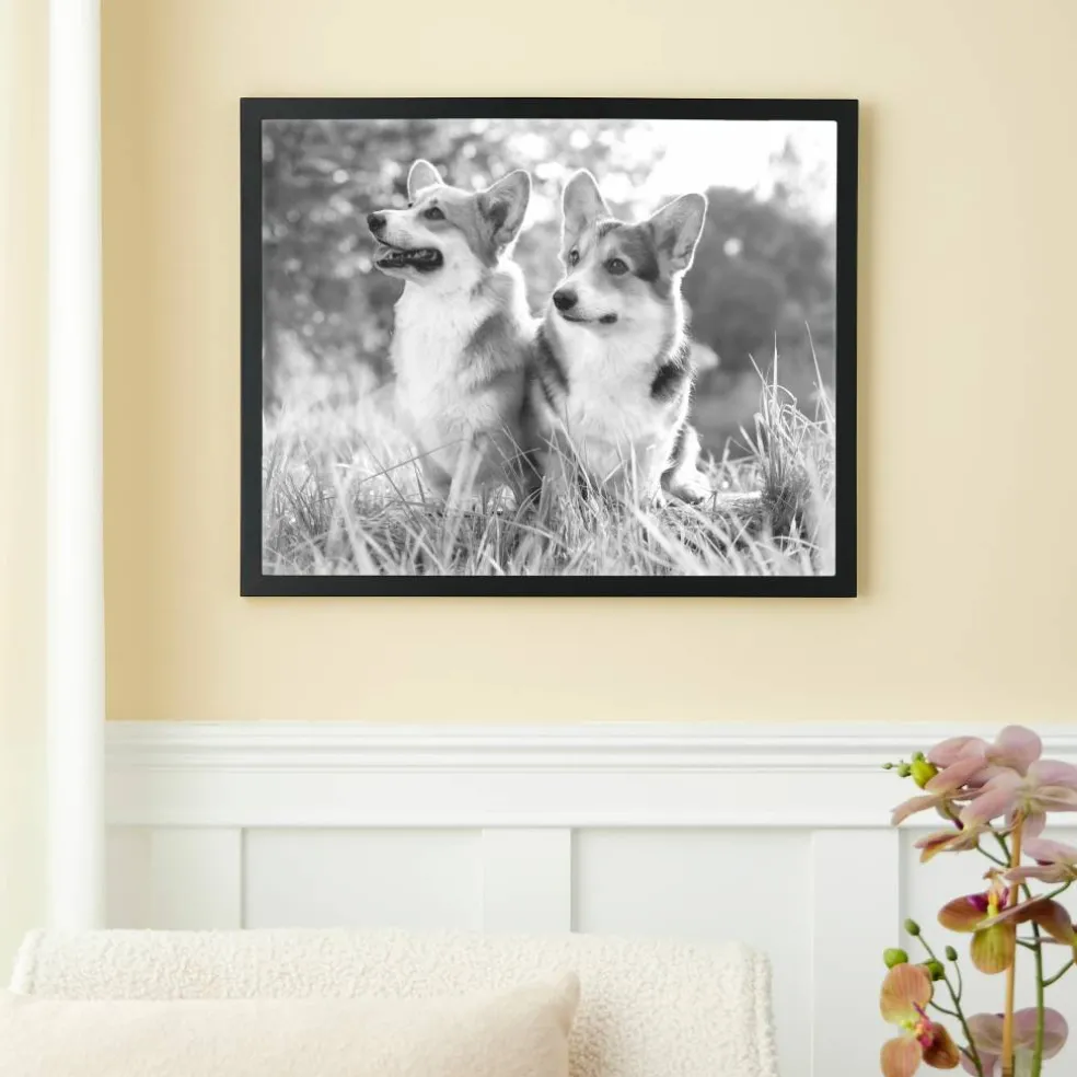 Black Float Frame by Studio Décor®