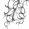 10" Black Hanging Spanish Moss Pick by Ashland®