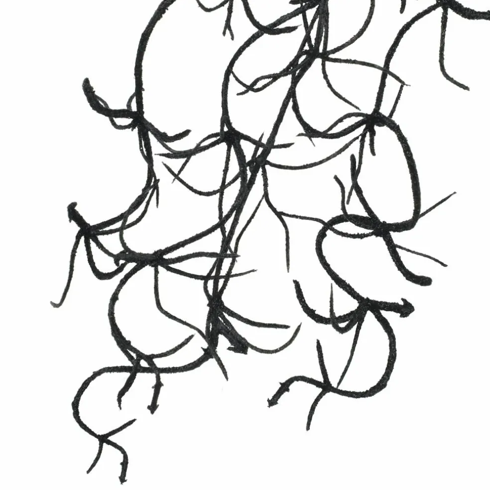 10" Black Hanging Spanish Moss Pick by Ashland®