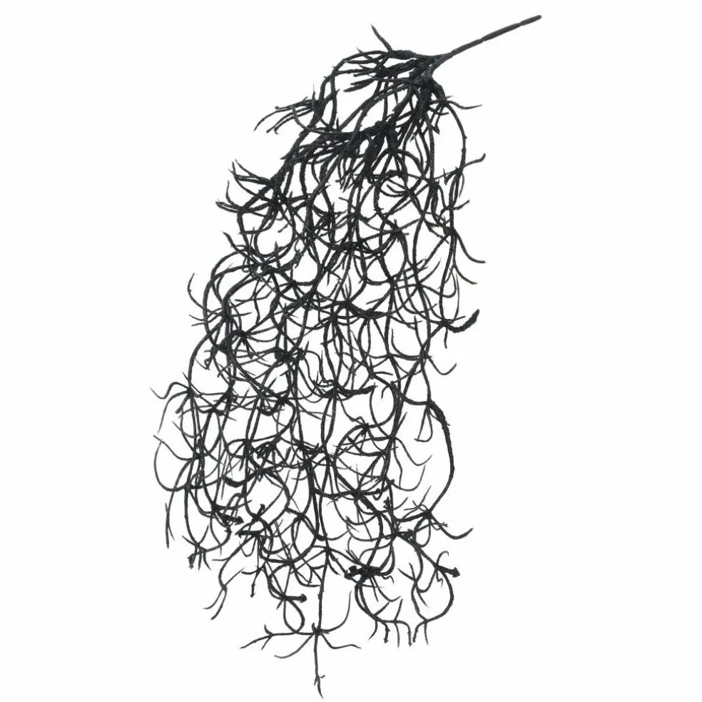 10" Black Hanging Spanish Moss Pick by Ashland®