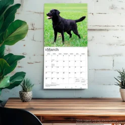 Black Labrador Retrievers | 2027 12 x 24 Inch (Hanging) Monthly Square Wall Calendar | Plastic-Free