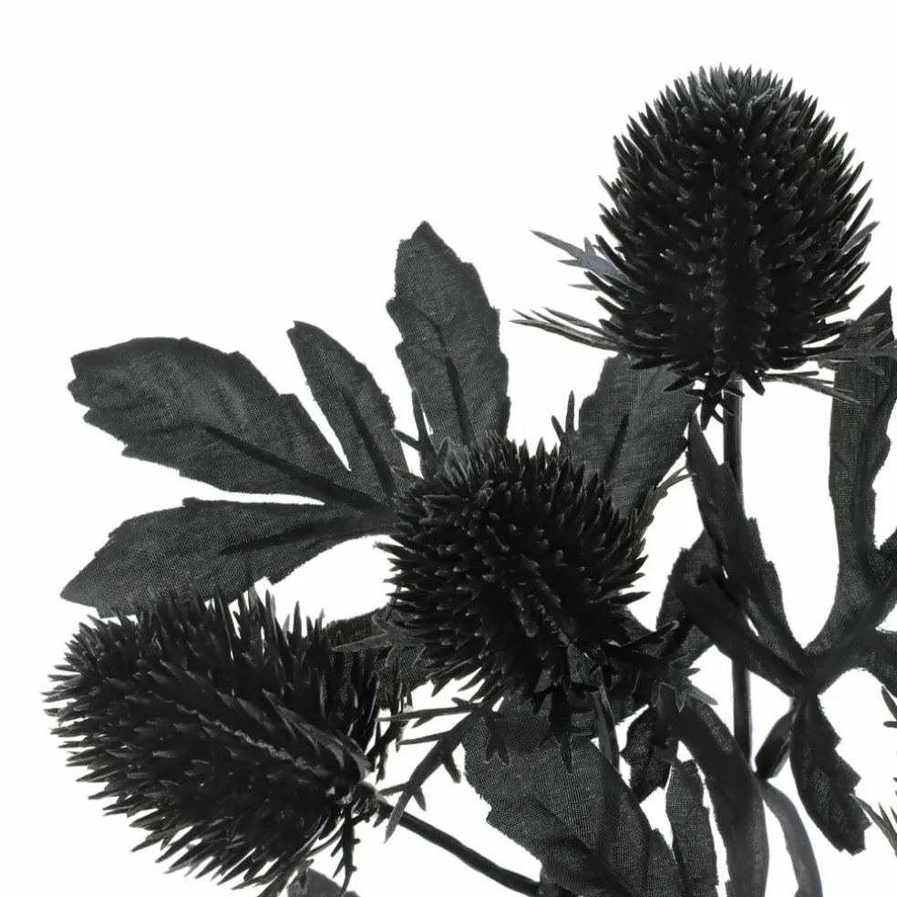 10" Black Thistle Pick by Ashland®