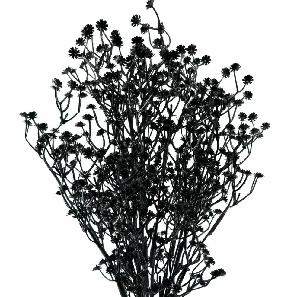 19" Black Twig Bush by Ashland®