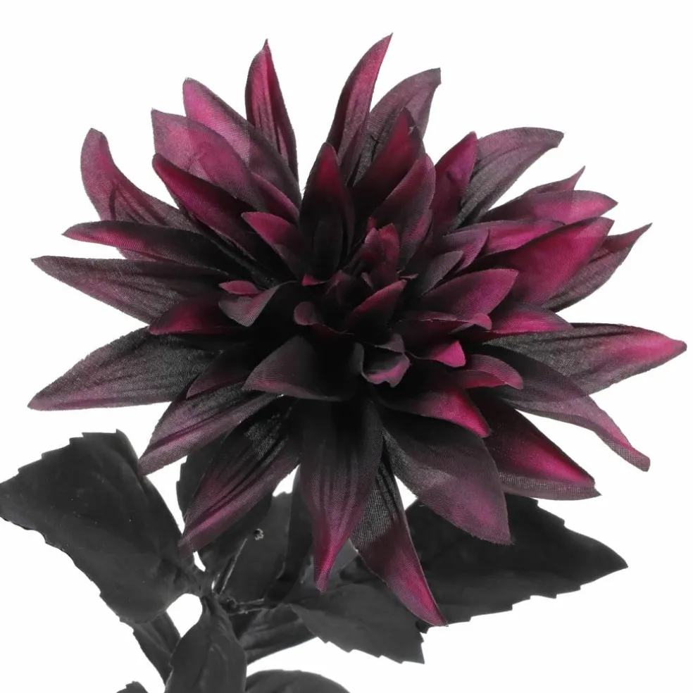 19" Black & Wine Dahlia Bush by Ashland®