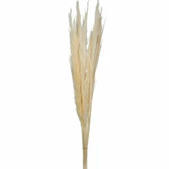 46" Bleached Pampas Grass 6Pk