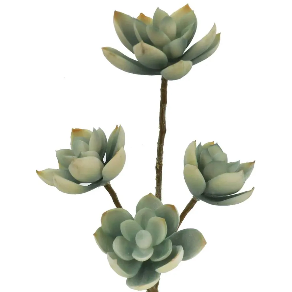 13" Blue & Pink Echeveria Pick by Ashland®