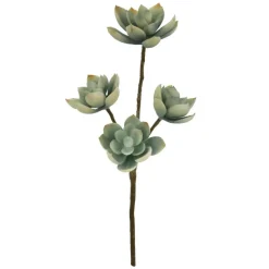 13" Blue & Pink Echeveria Pick by Ashland®