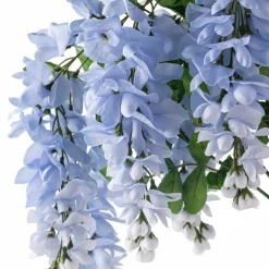 Blue Wisteria Bush by Ashland®