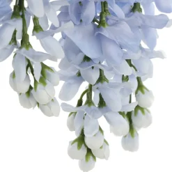Blue Wisteria Bush by Ashland®